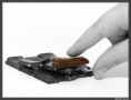 /album/vie-quotidienne/p1330088-12222-jpg/